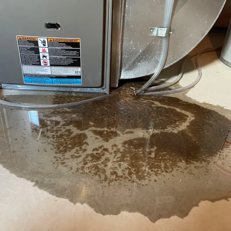 Appliance Leak Cleanup in Kinder, LA